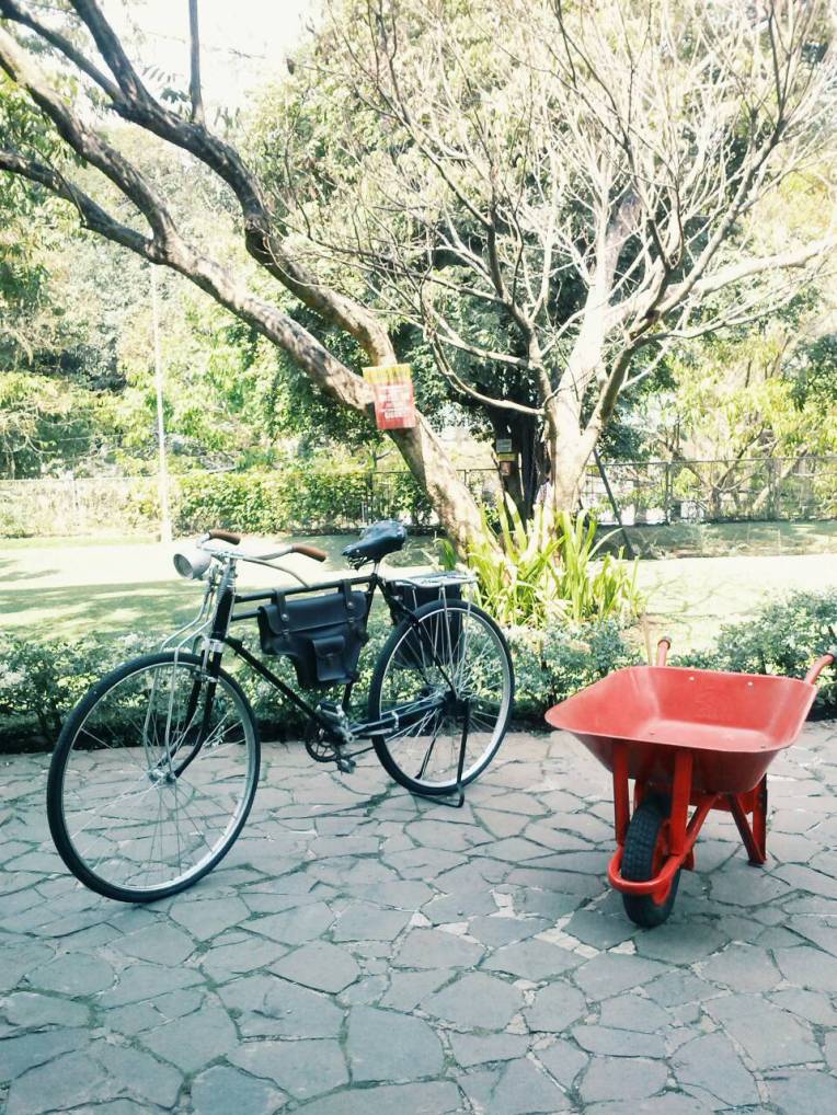 Bike by the garden.